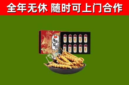 射阳烟酒回收冬虫夏草礼盒.jpg